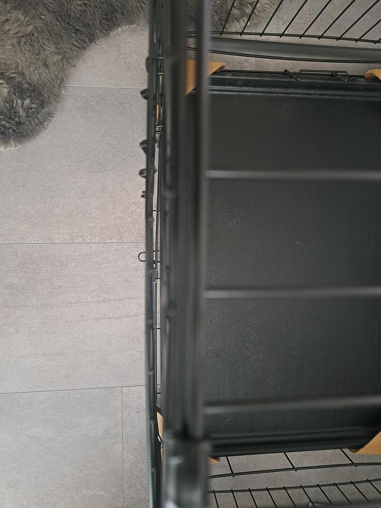 Tierarzt empfiehlt Gitterbox