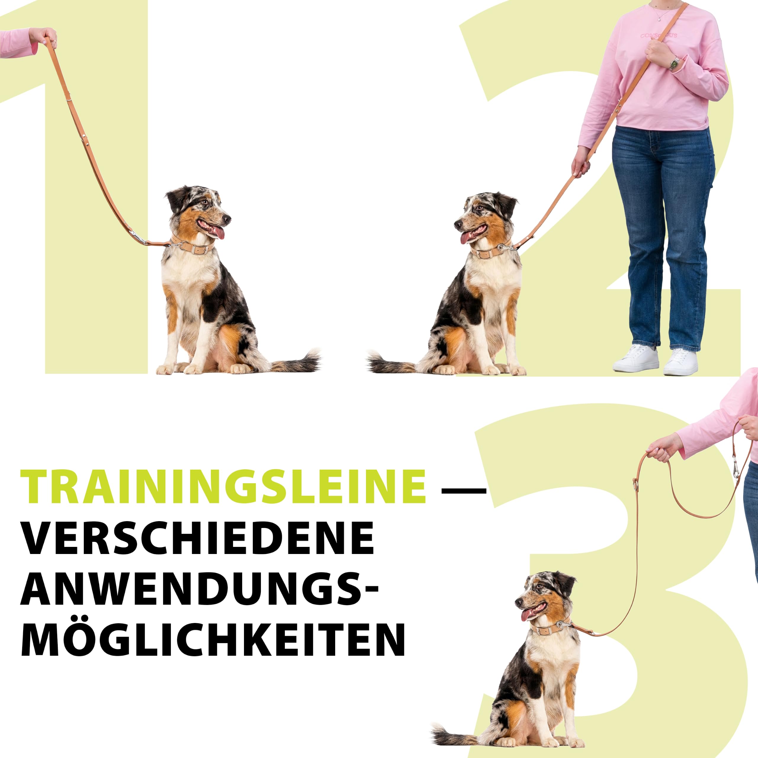 ferplast-natural-ga-trainingsleine-echt-leder-f-r-hunde-mit-verdrehschutz-karabi image 7