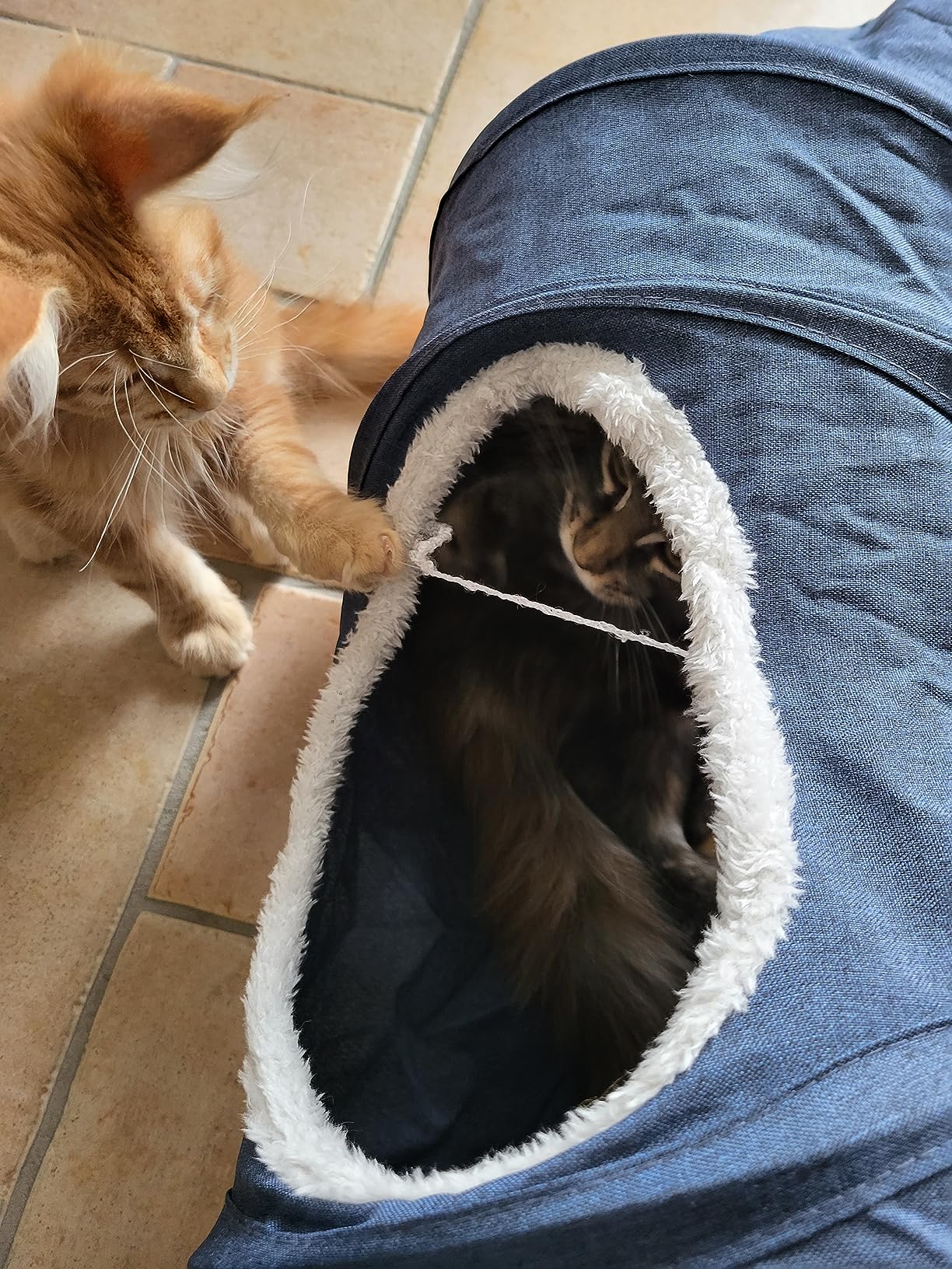 Für große Katzen zu klein