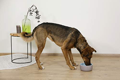 kerbl-pet-keramiknapf-spirit-1000-ml-mit-motiv-glasiert image 4