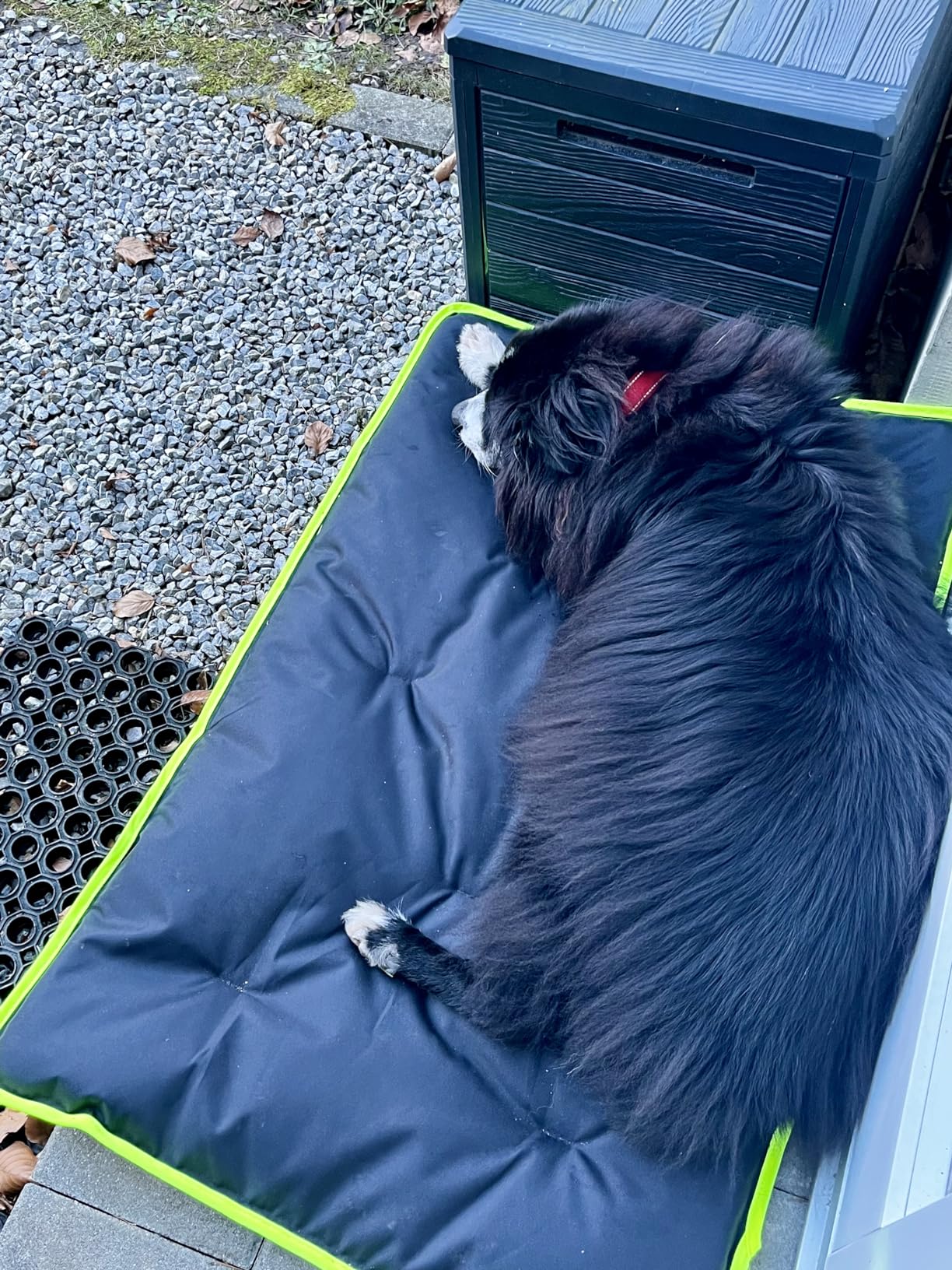 Ideal für Katzenkorb