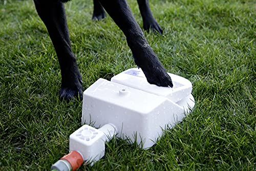 kerbl-pet-wasserspringbrunnen-bubble-25-5x18x8-cm-trinkbrunnen-f-r-hunde image 8