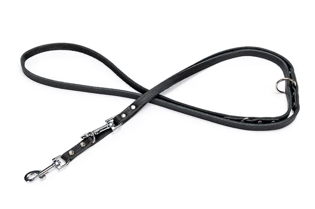 karlie-rondo-f-hrleine-genietet-200-cm-x-12-mm-schwarz image 1