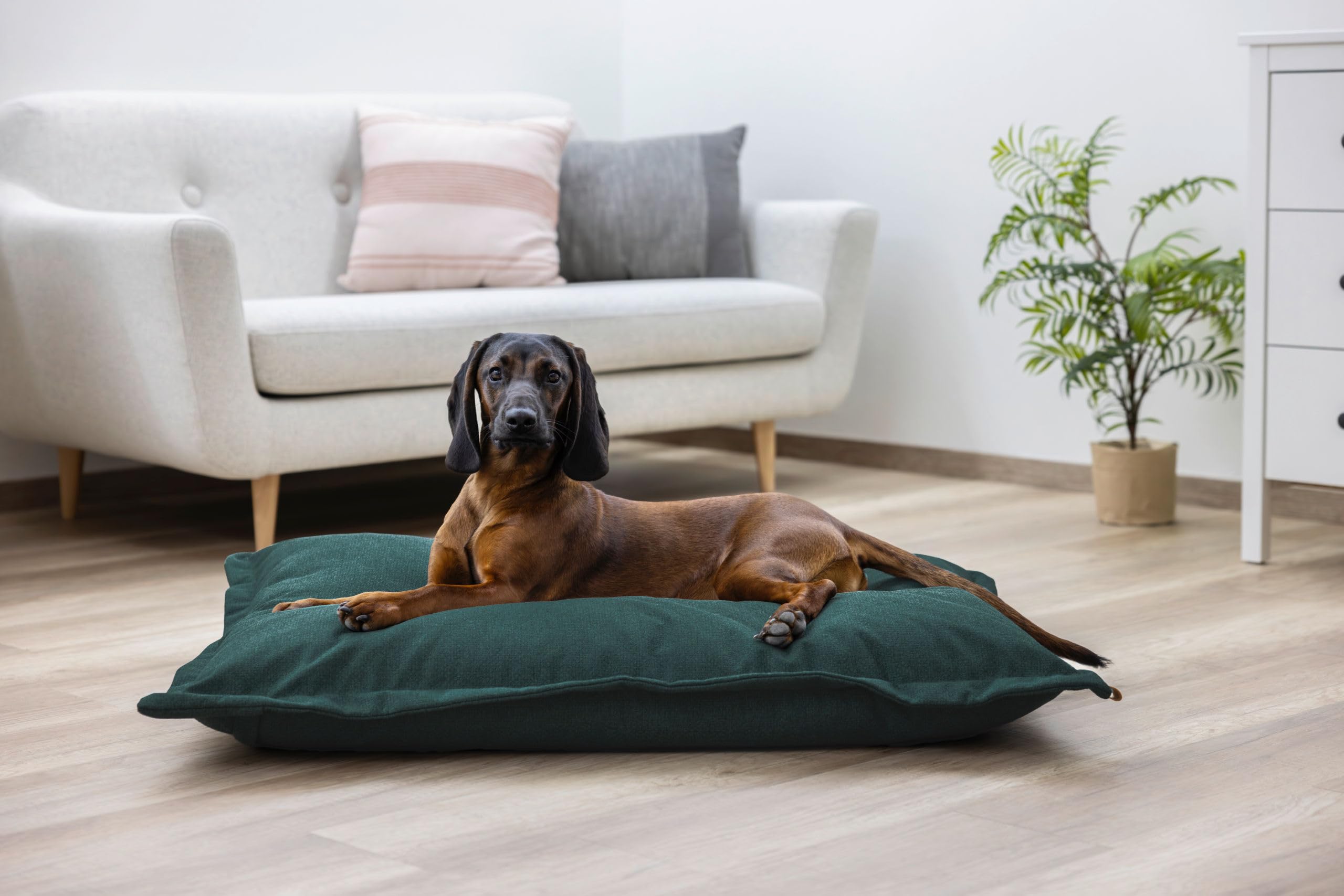 kerbl-pet-kuschelbett-oliver-english-green-80-x-60-x-15-cm-polyester-mit-abnehmb image 7