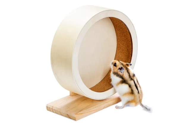 karlie-bogie-wheel-laufrad-holz-kork-natur-durchmesser-19-5-cm image 1