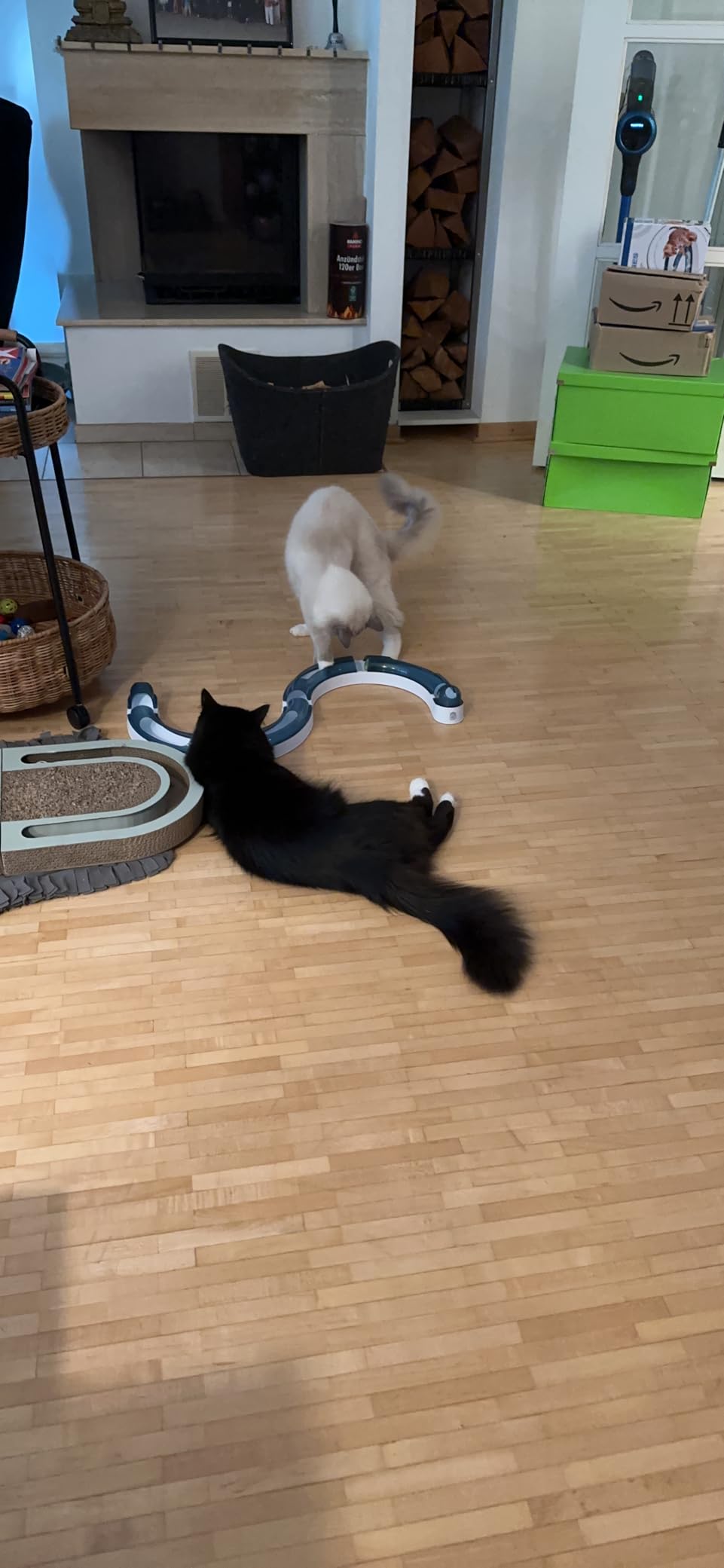 Ganz nett, aber nicht für jede Katze