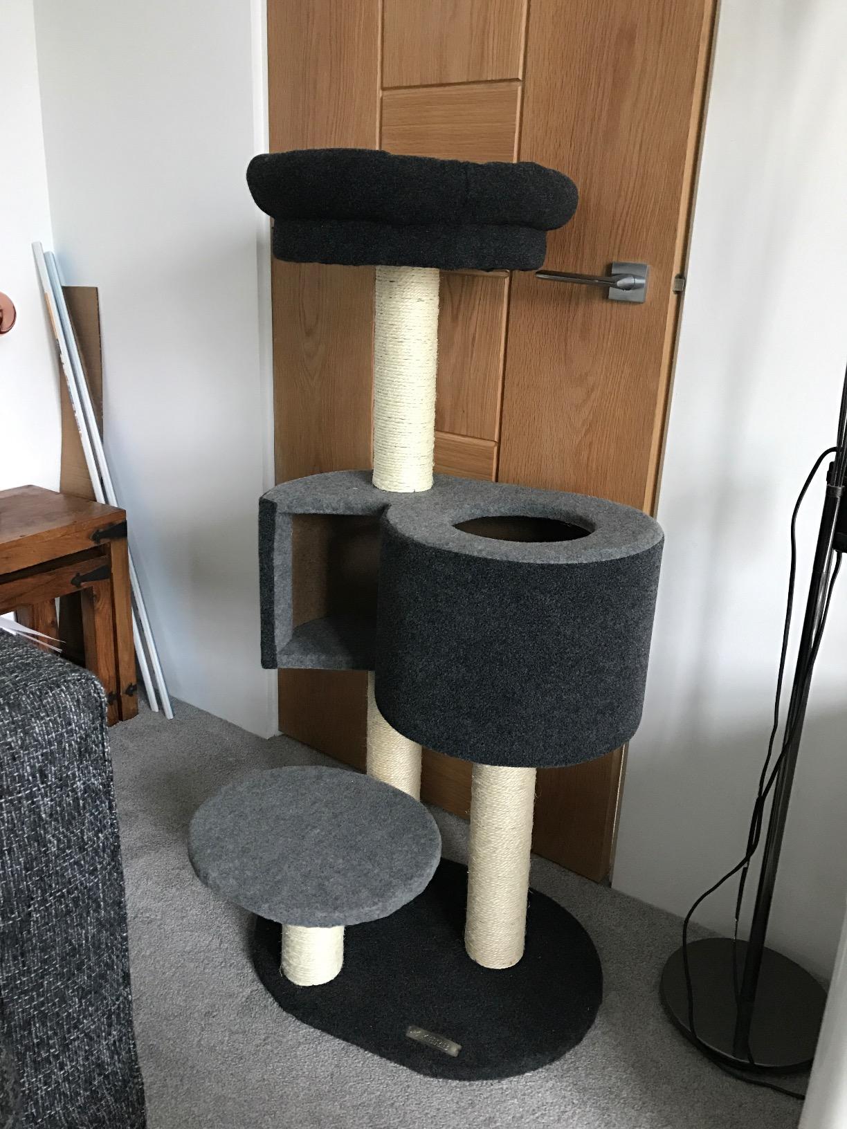 Okay für ruhige Katzen