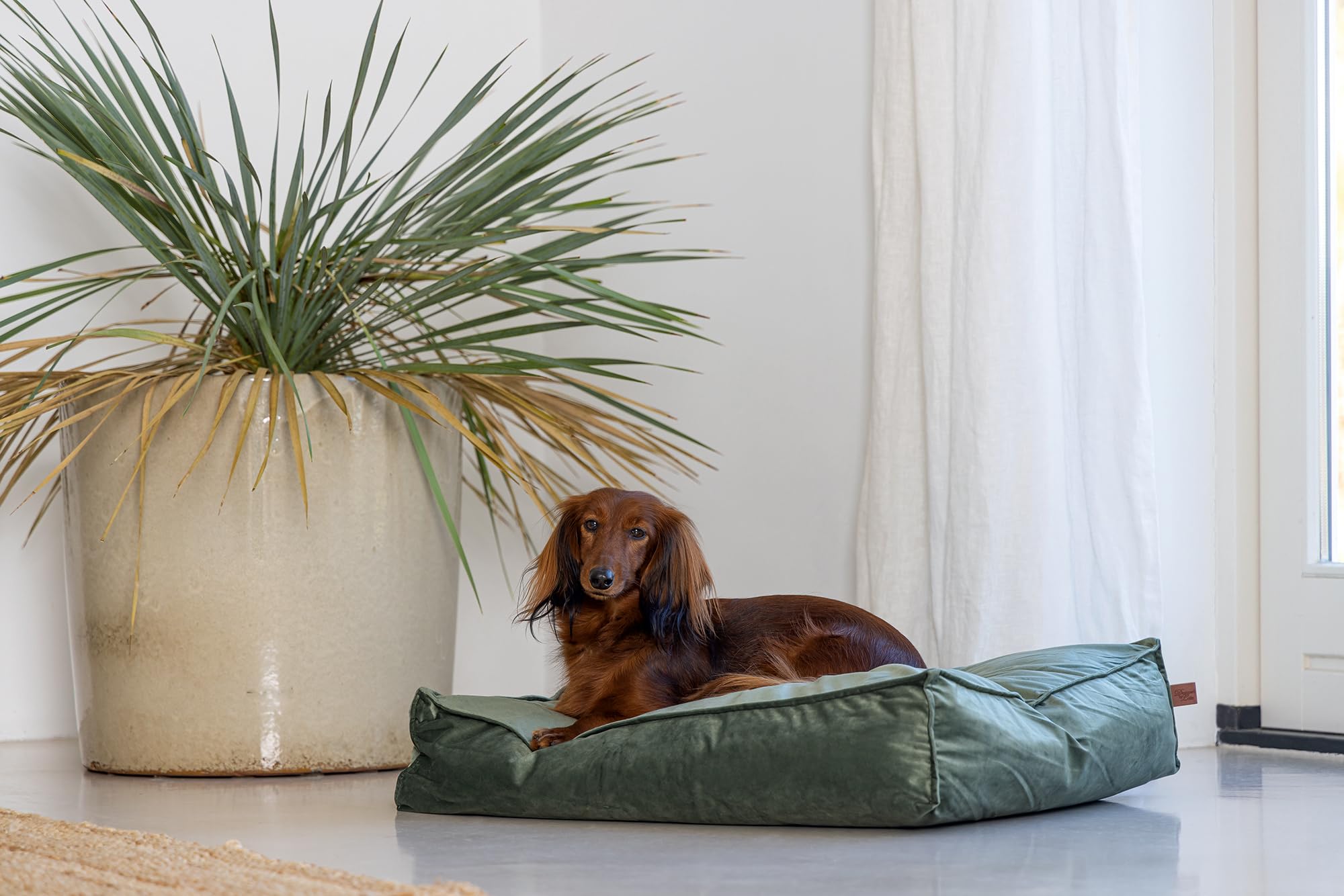 designed-by-lotte-nalino-hundekissen-samt-gr-n-70x55x15-cm image 4