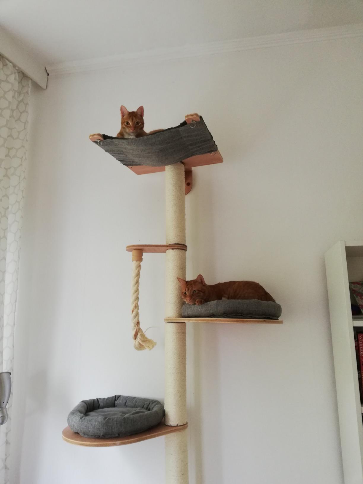 Platzwunder!