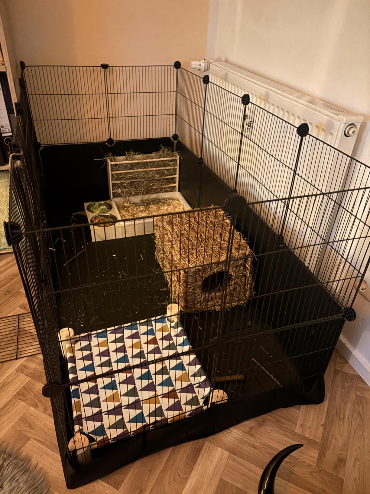 Viel Platz für unsere Meerschweinchen