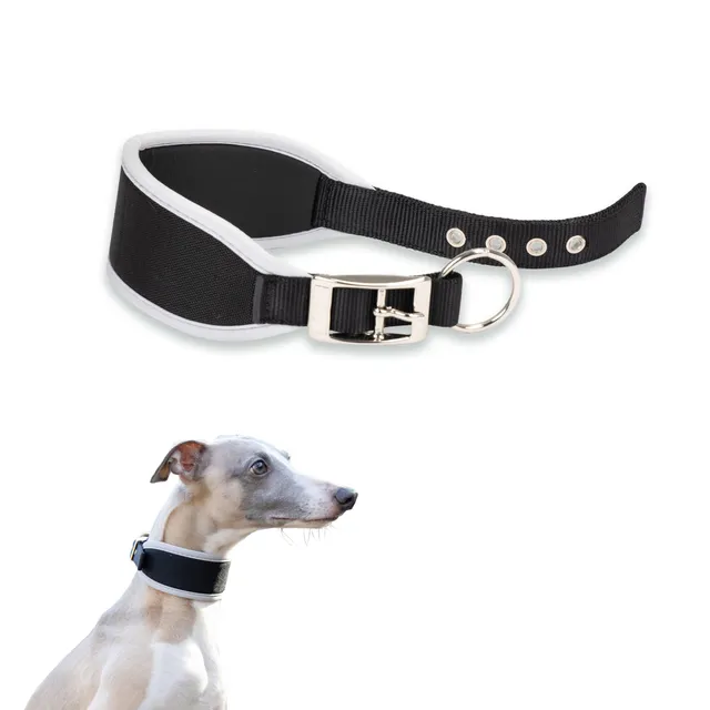 ferplast-ergocomfort-windhund-hundehalsband-cw15-32-nylon-mit-polsterung-silber- image 1