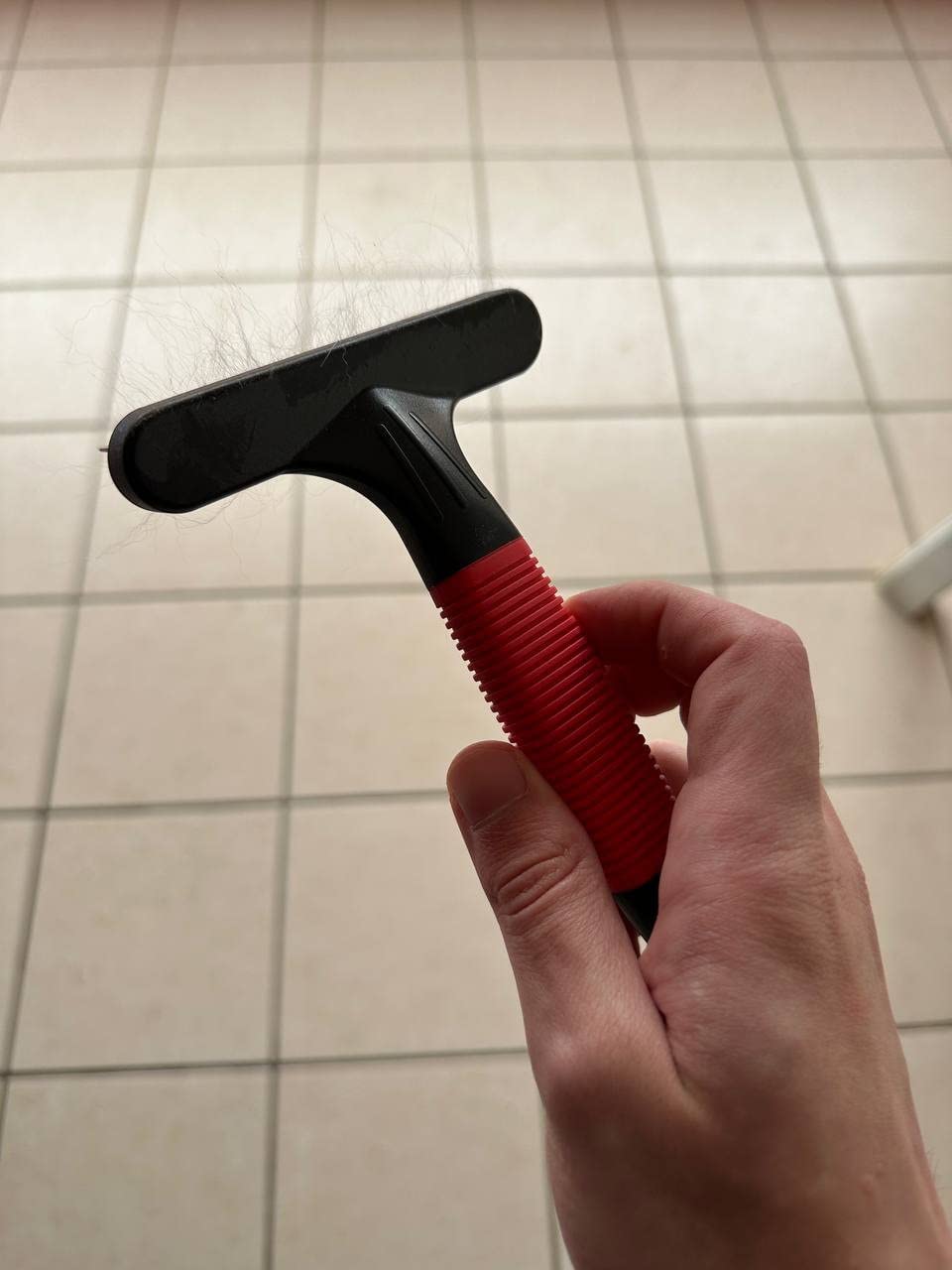 Super gegen Filz