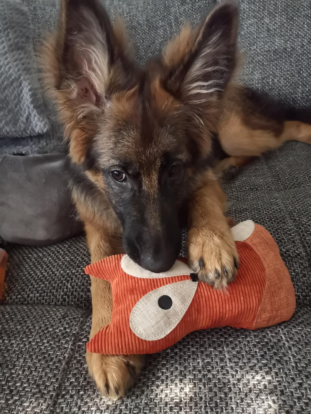 Kaufempfehlung