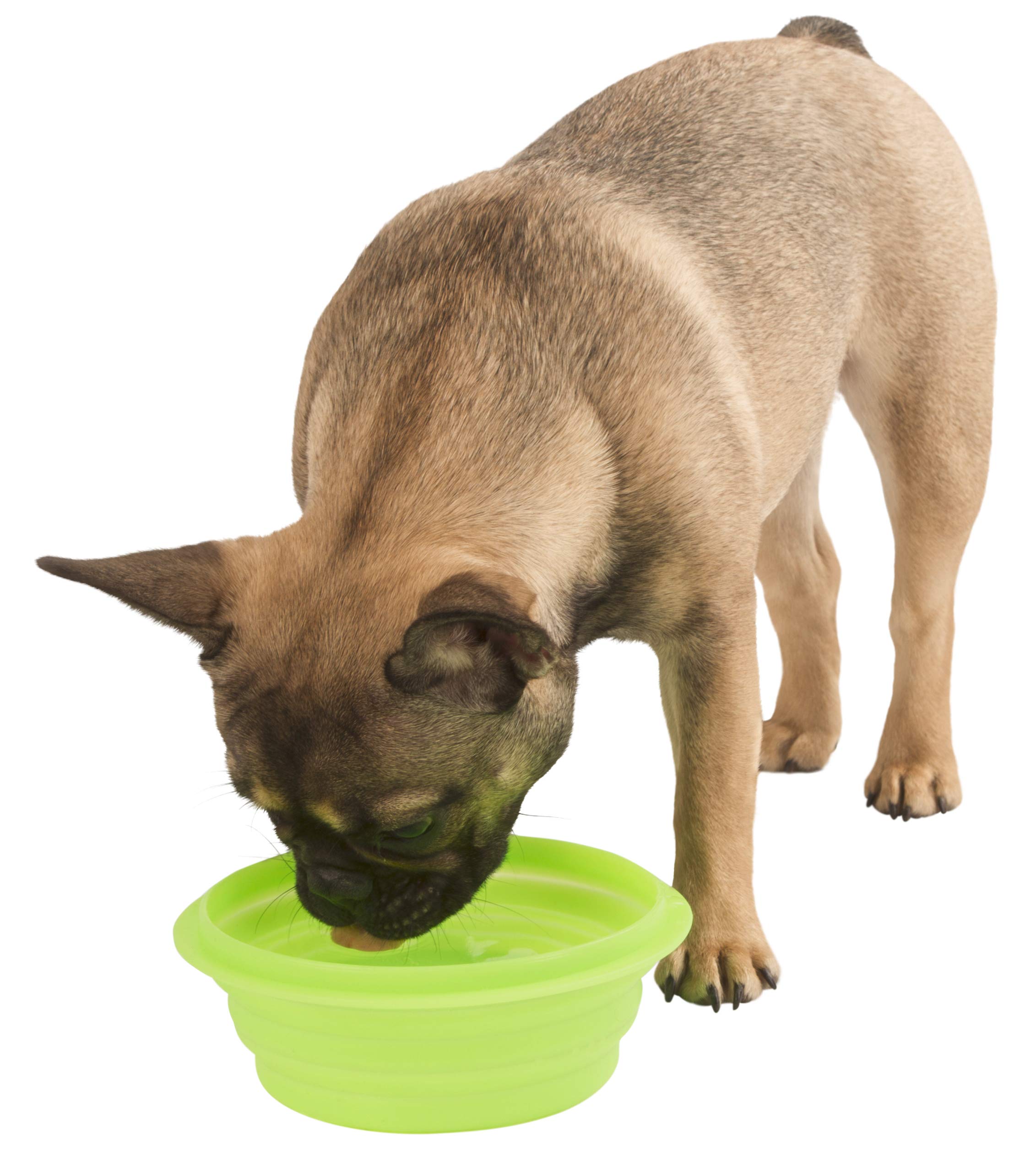 kerbl-pet-silikon-reisenapf-faltbar-500-ml-himbeer image 2