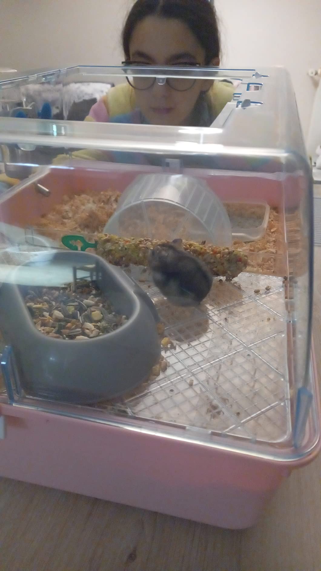 Perfekt für Hamster