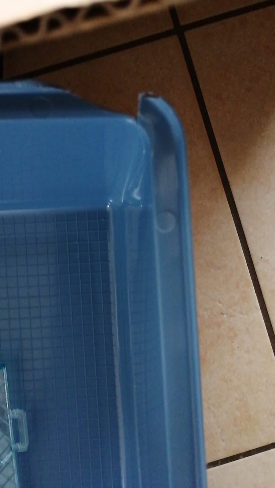 Röhren zu eng für Goldhamster