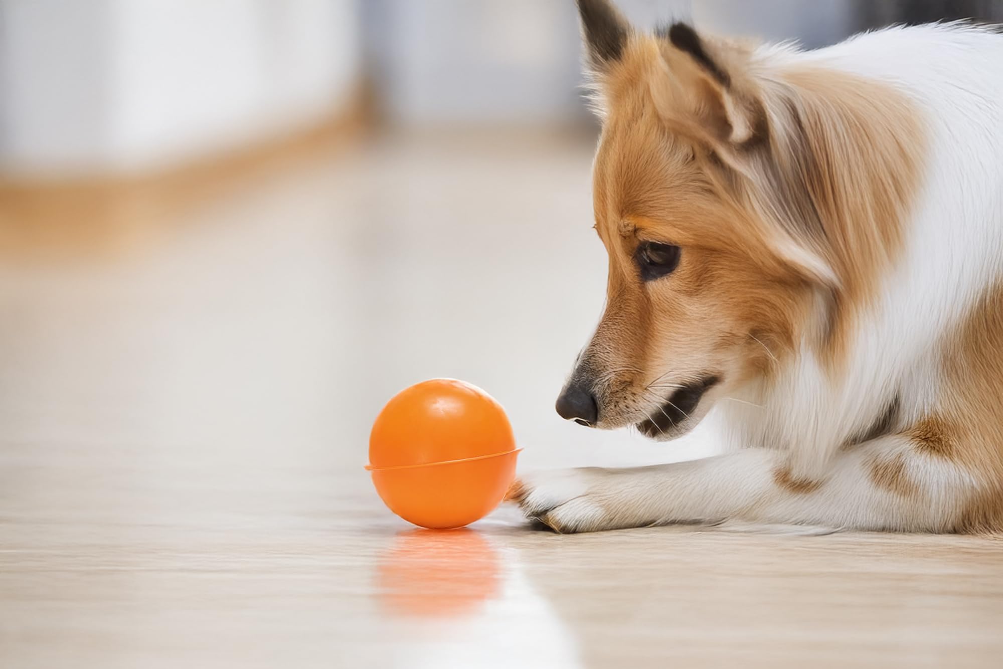 karlie-ball-hundespielzeug-gummi-orange-durchmesser-4-cm image 3