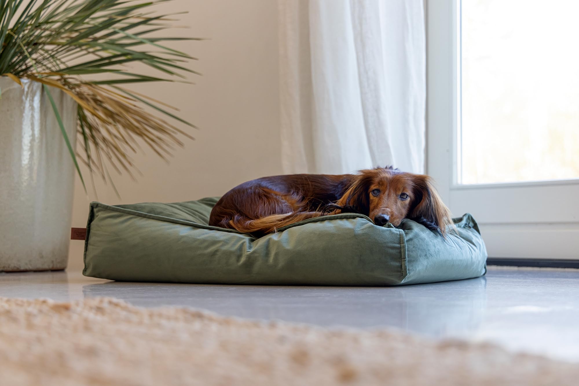 designed-by-lotte-nalino-hundekissen-samt-gr-n-70x55x15-cm image 6