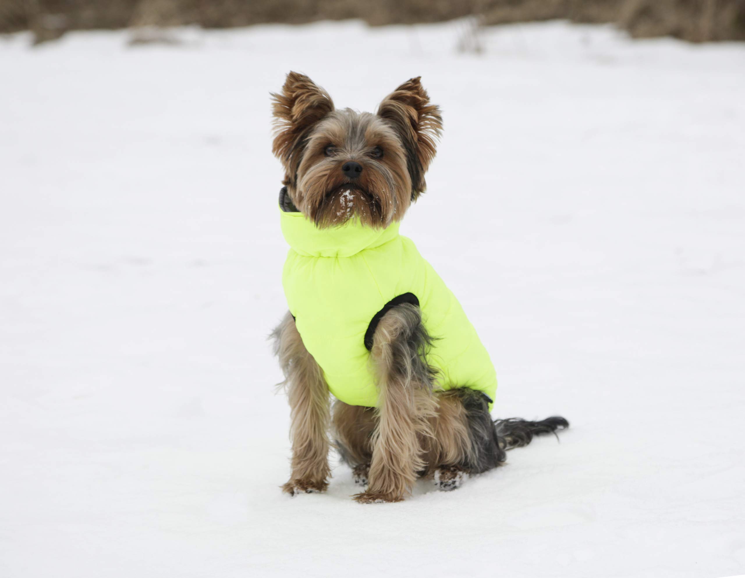 kerbl-pet-steppmantel-charmonix-xs-30-cm-grau-neon-gelb-wendbarer-hundemantel image 5