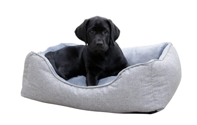 kerbl-pet-kuschelbett-marie-hundebett-grau-61-x-48-cm-mit-wendekissen image 1