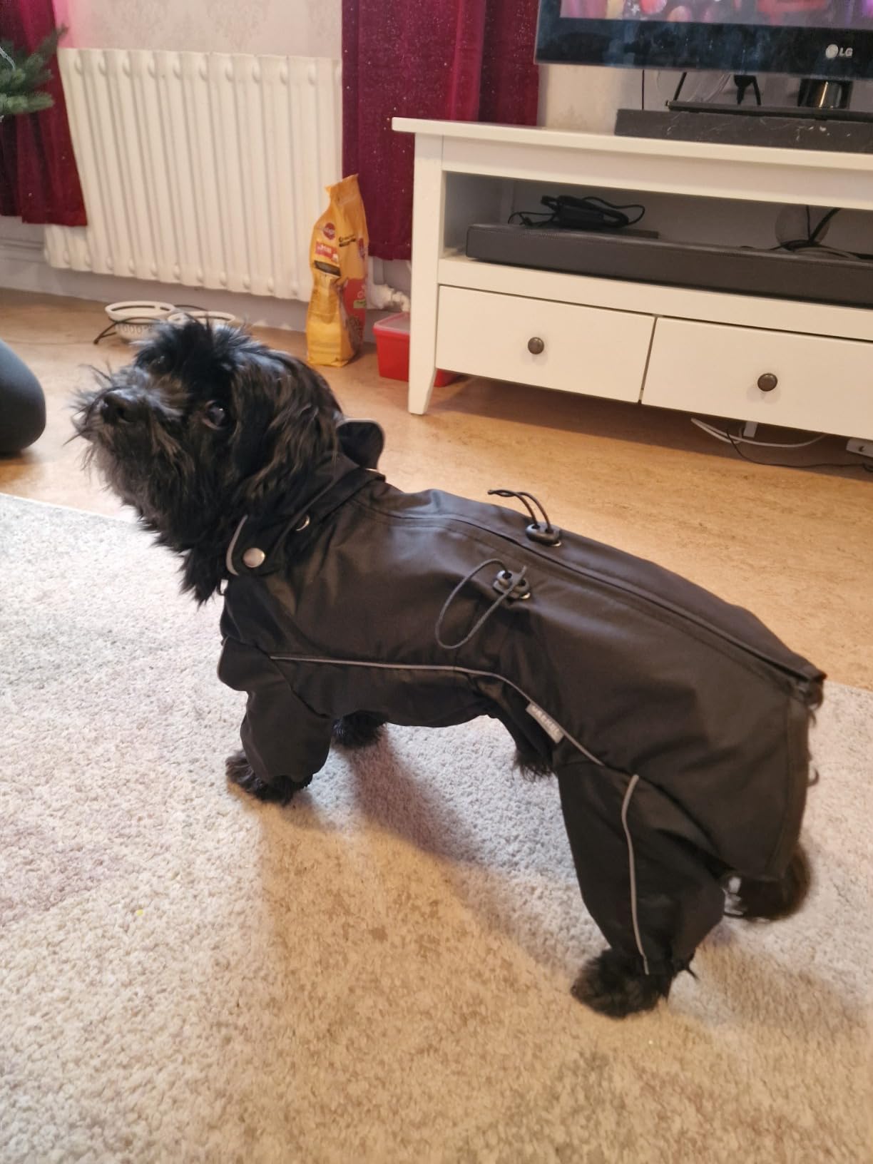 Gut, aber nichts für sehr ängstliche Hunde