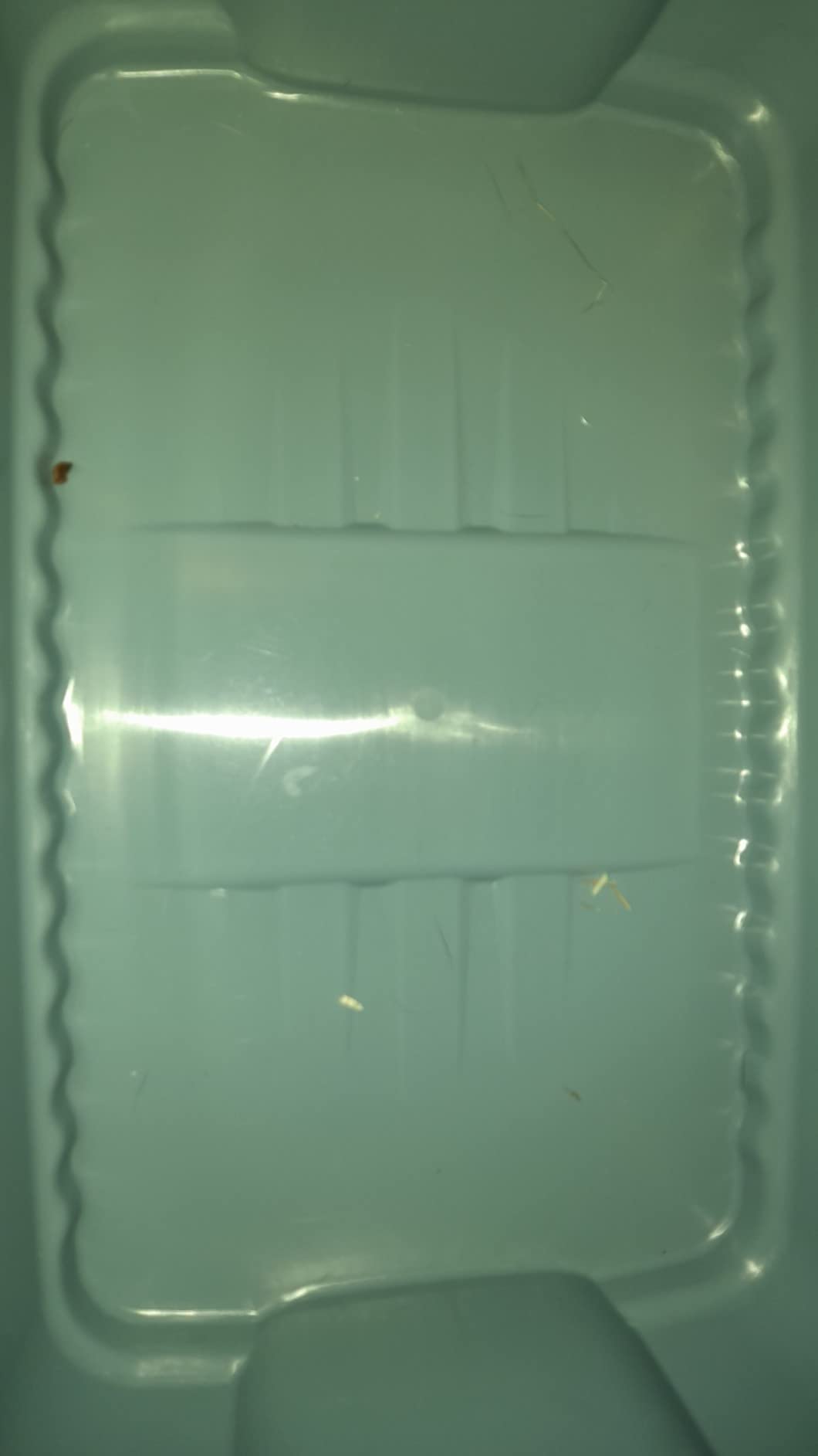 Top Transportbox