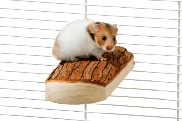 karlie-wonderland-sitzboard-nager-zubeh-r-holz-natur-17x8x4-cm image 1