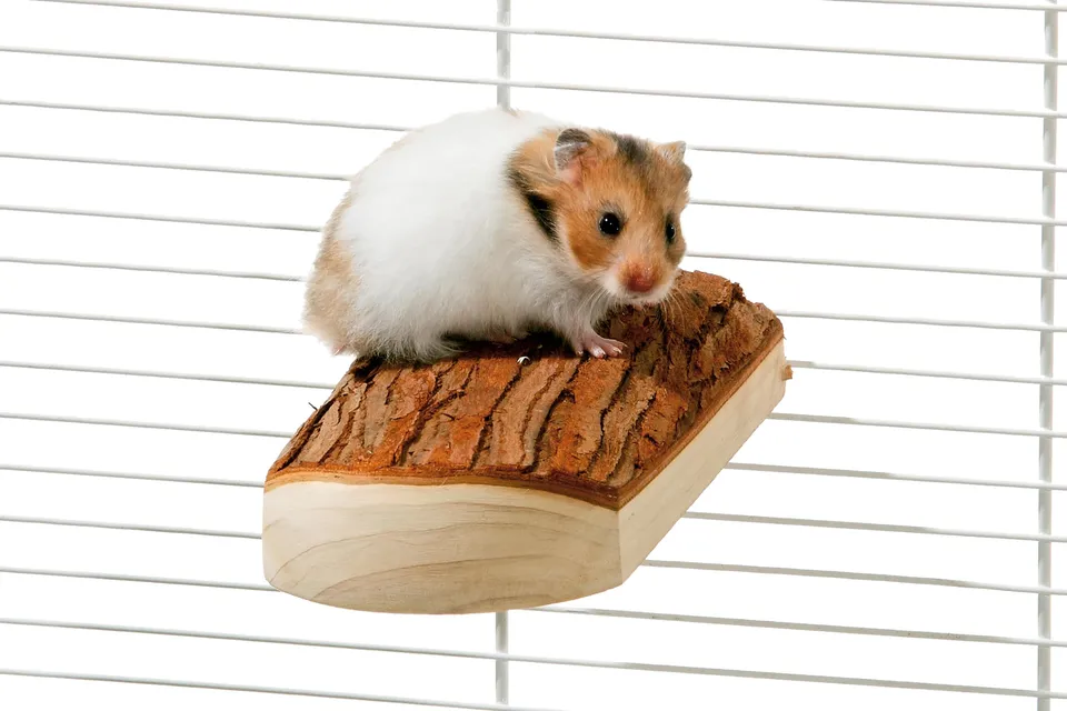 karlie-wonderland-sitzboard-nager-zubeh-r-holz-natur-17x8x4-cm image 1