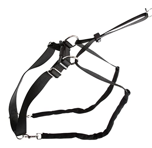 kerbl-pet-maxi-leader-erziehungsgeschirr-gr-e-2-schwarz image 8
