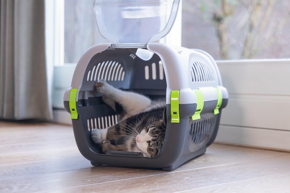 karlie-beeztees-rhino-transportbox-f-r-kleine-hunde-und-katzen-51x34-5x33-cm-gra image 4