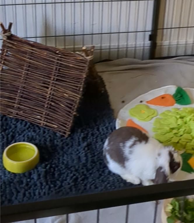 Süßes Häuschen für unsere Kaninchen