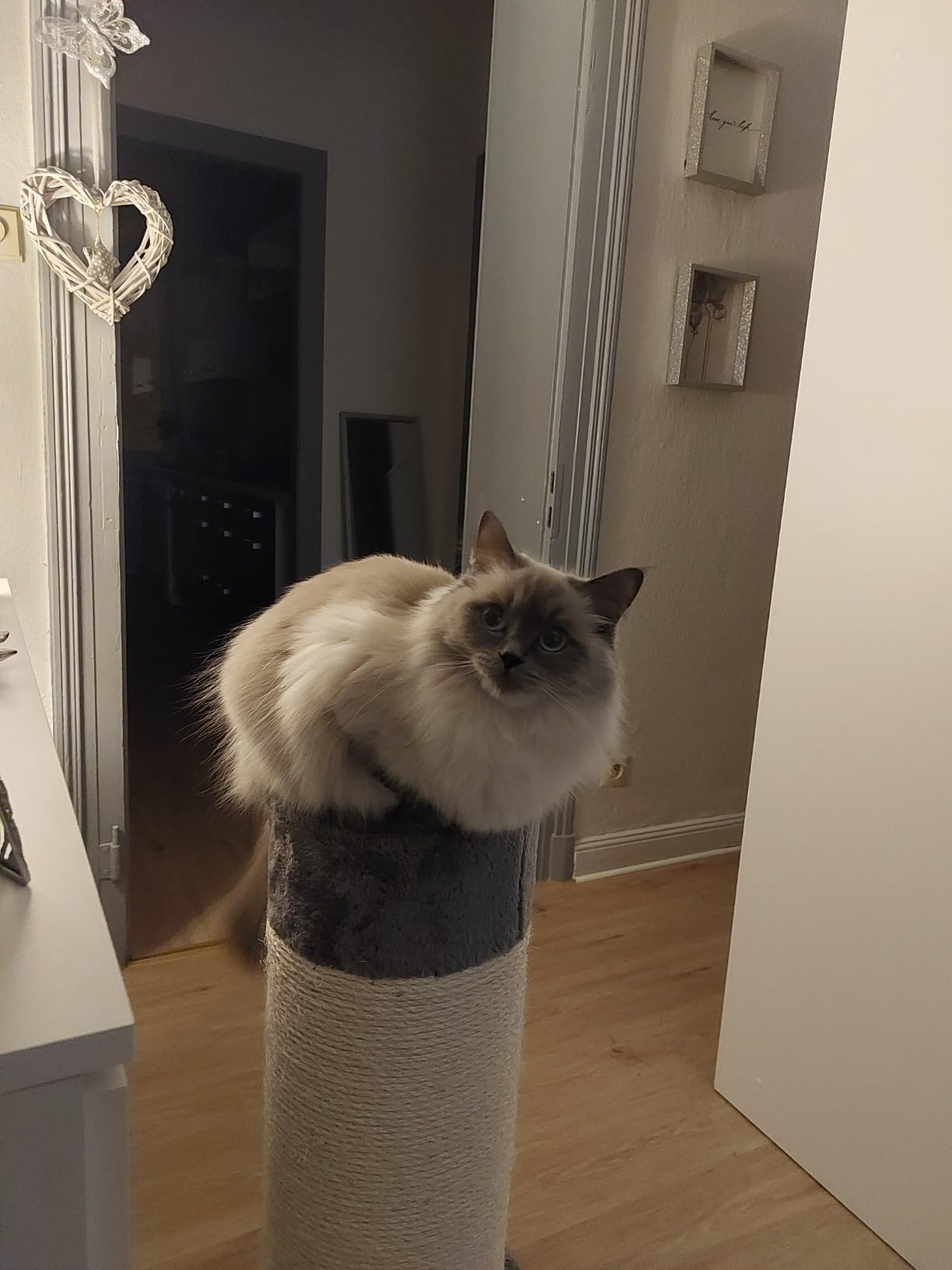 Sehr solide Kratzsäule