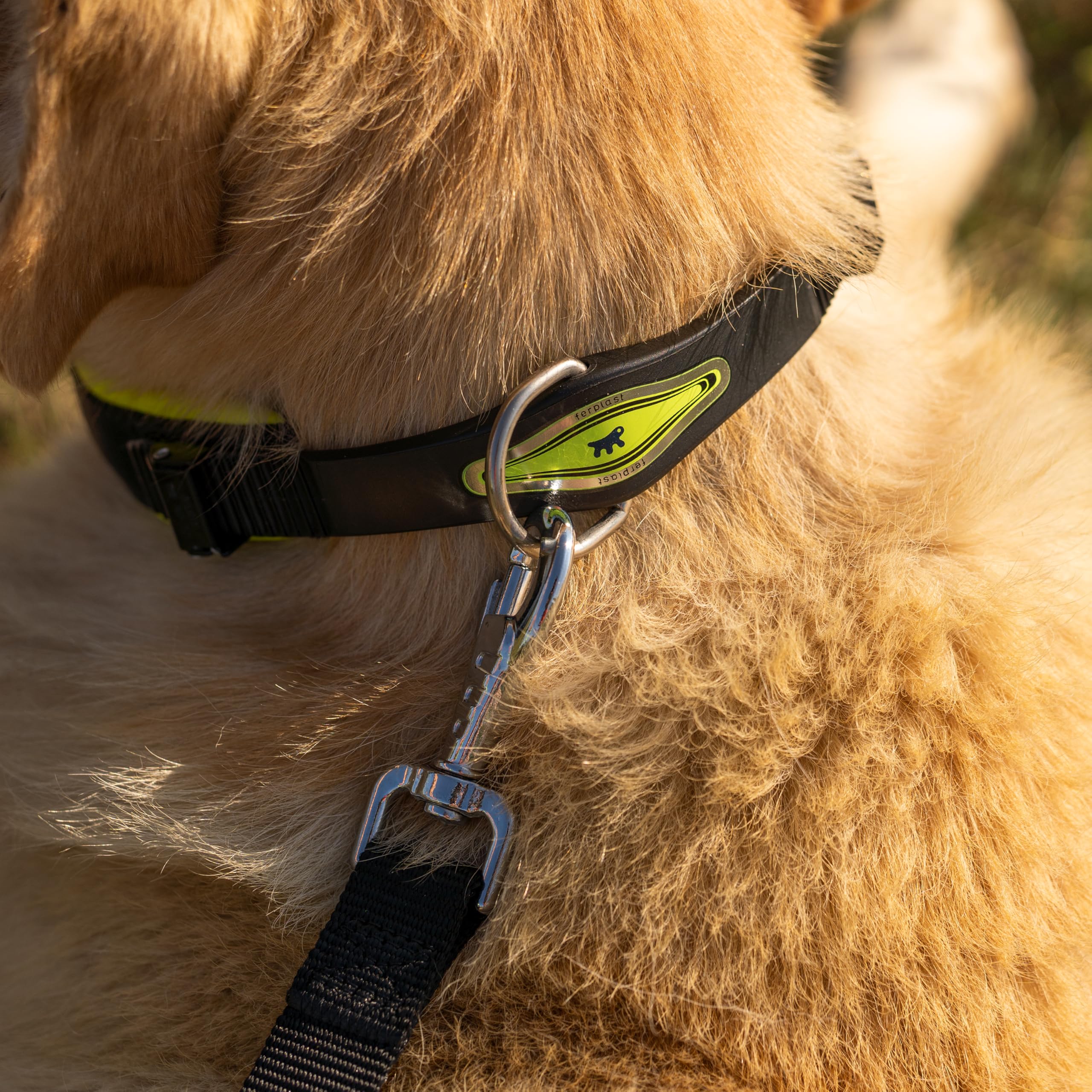 ferplast-ergofluo-c25-60-hundehalsband-gepolstert-mit-microregulierung image 3