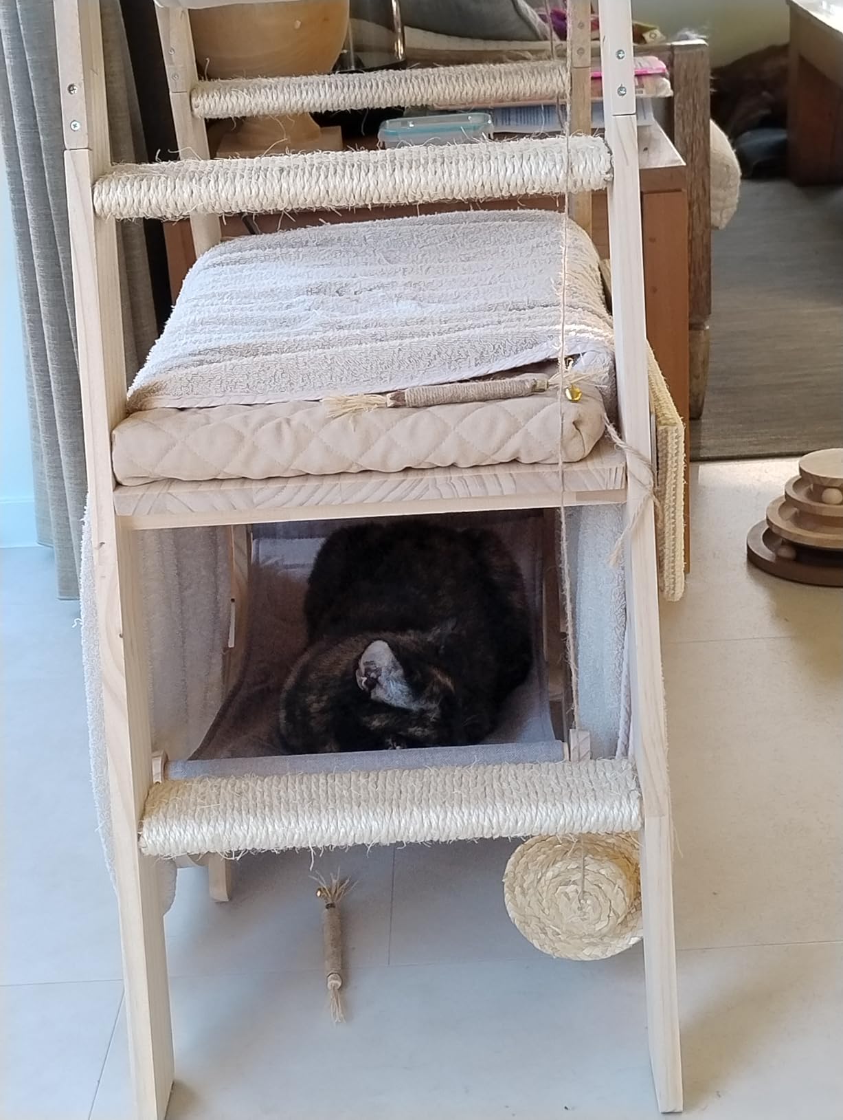 Beide Katzen glücklich
