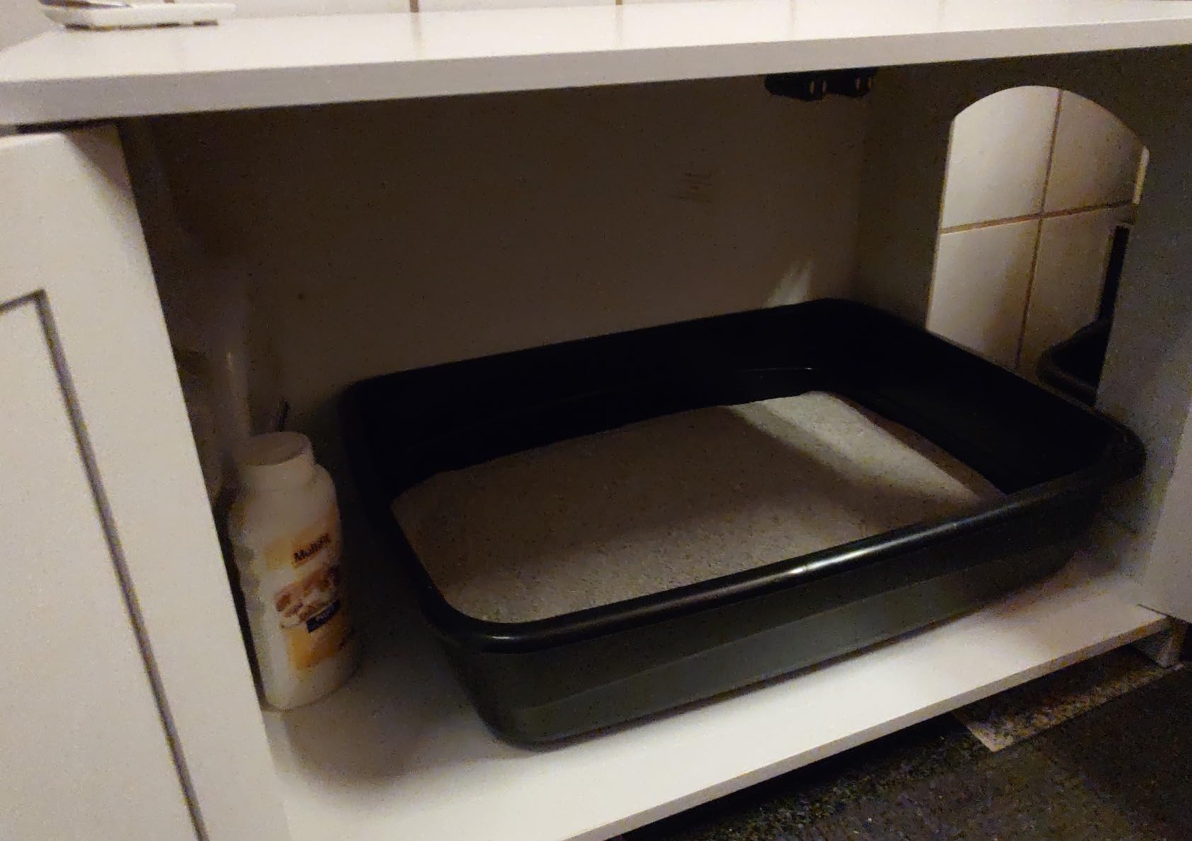 Ideal für große Katzen