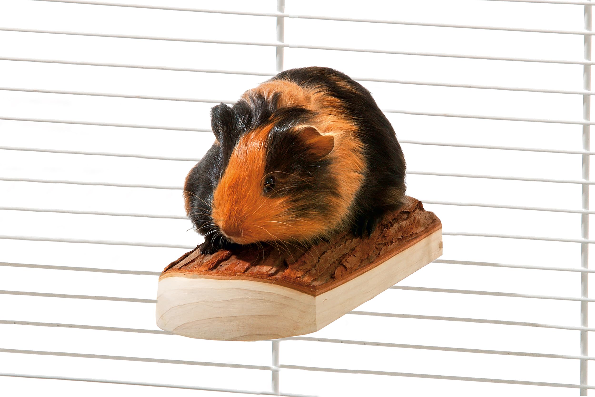 karlie-wonderland-sitzboard-nager-zubeh-r-holz-natur-17x8x4-cm image 2