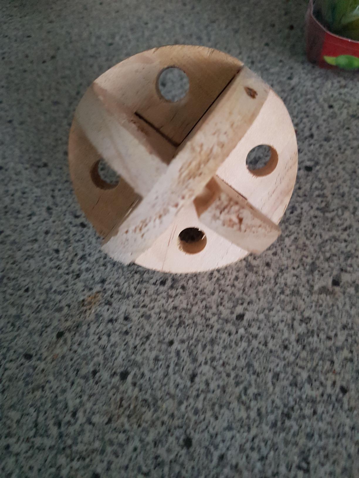 Hamster liebt ihn