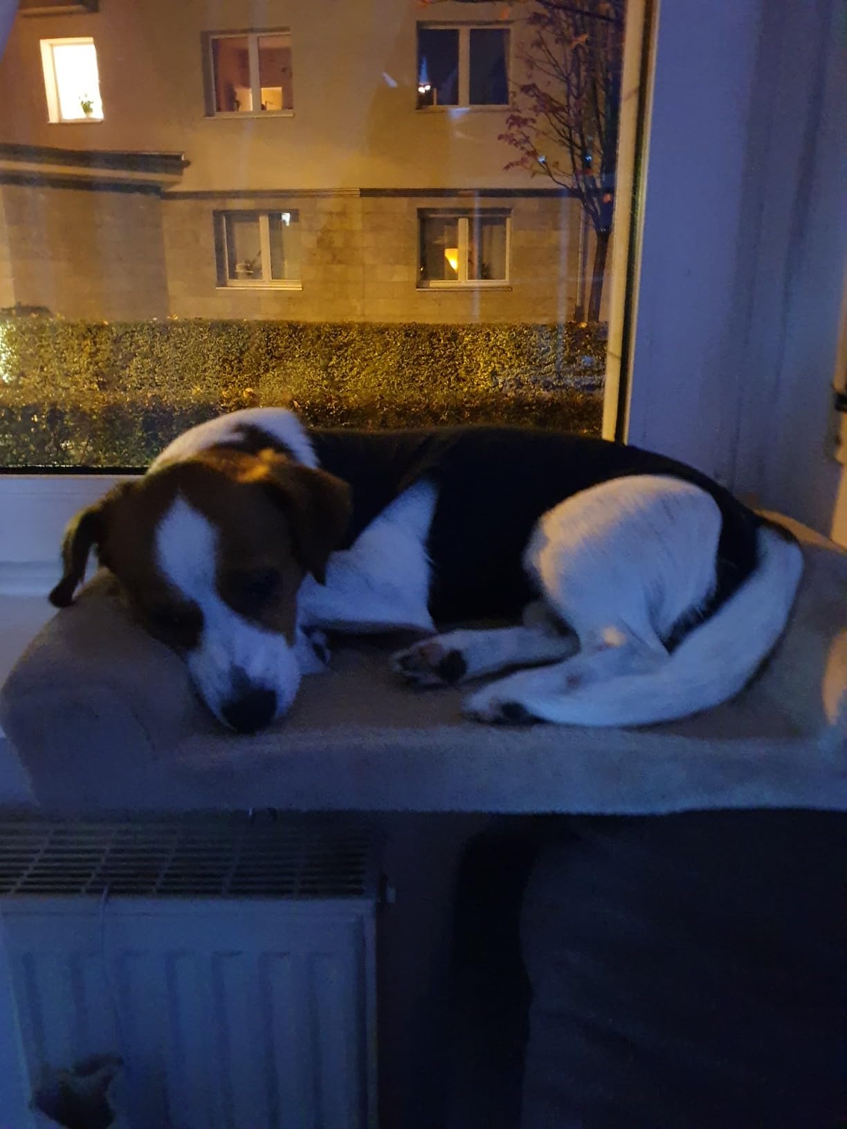 Ganz ok, wackelt leicht