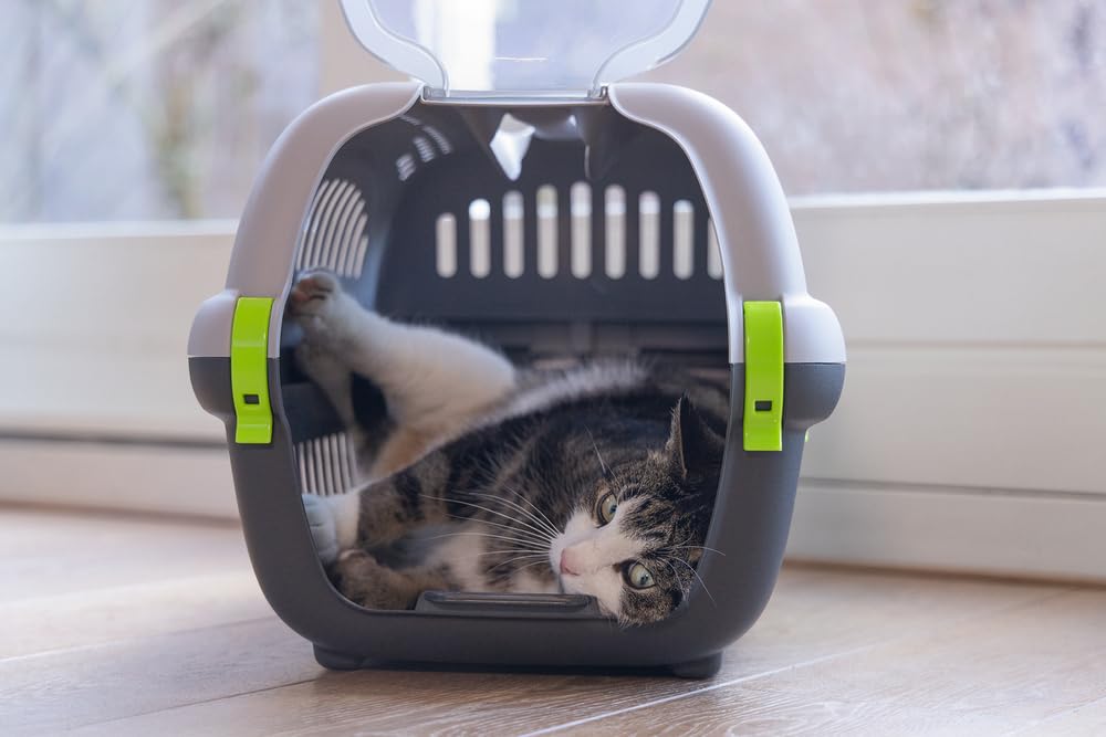 karlie-beeztees-rhino-transportbox-f-r-kleine-hunde-und-katzen-51x34-5x33-cm-gra image 5