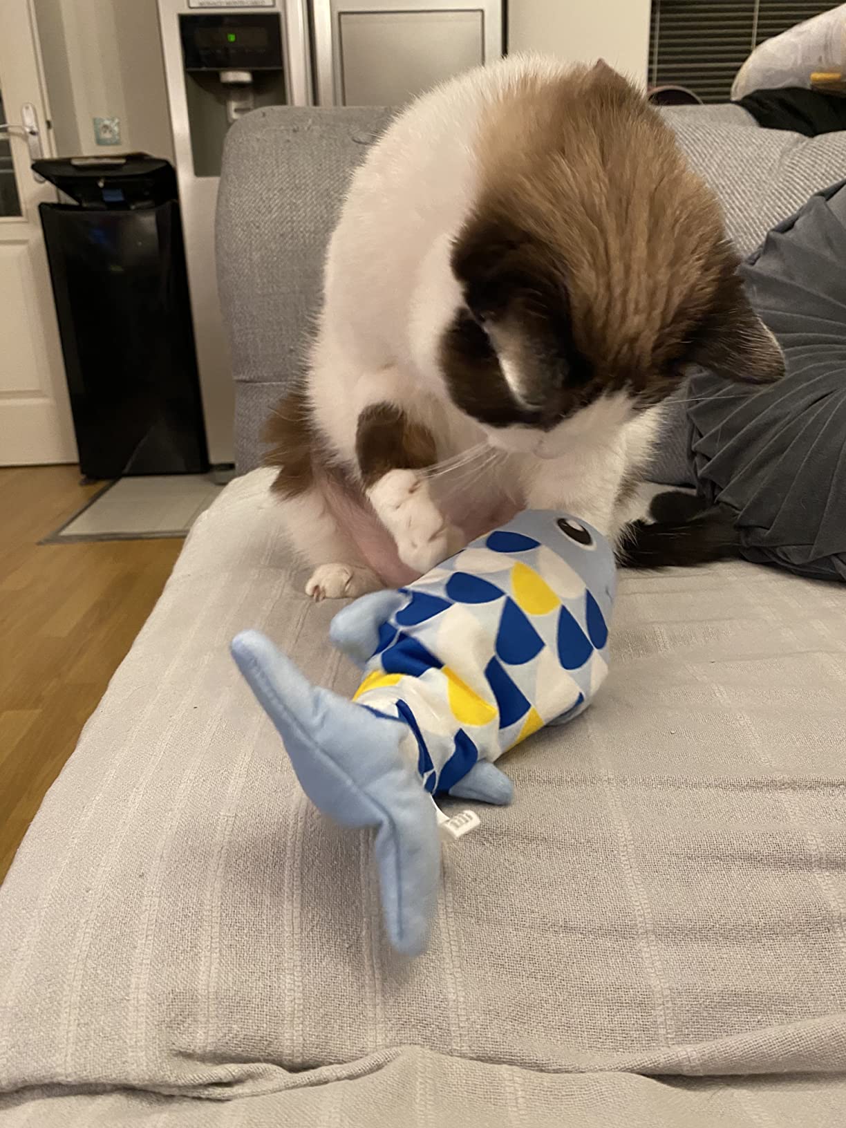 Luna liebt ihren Fisch