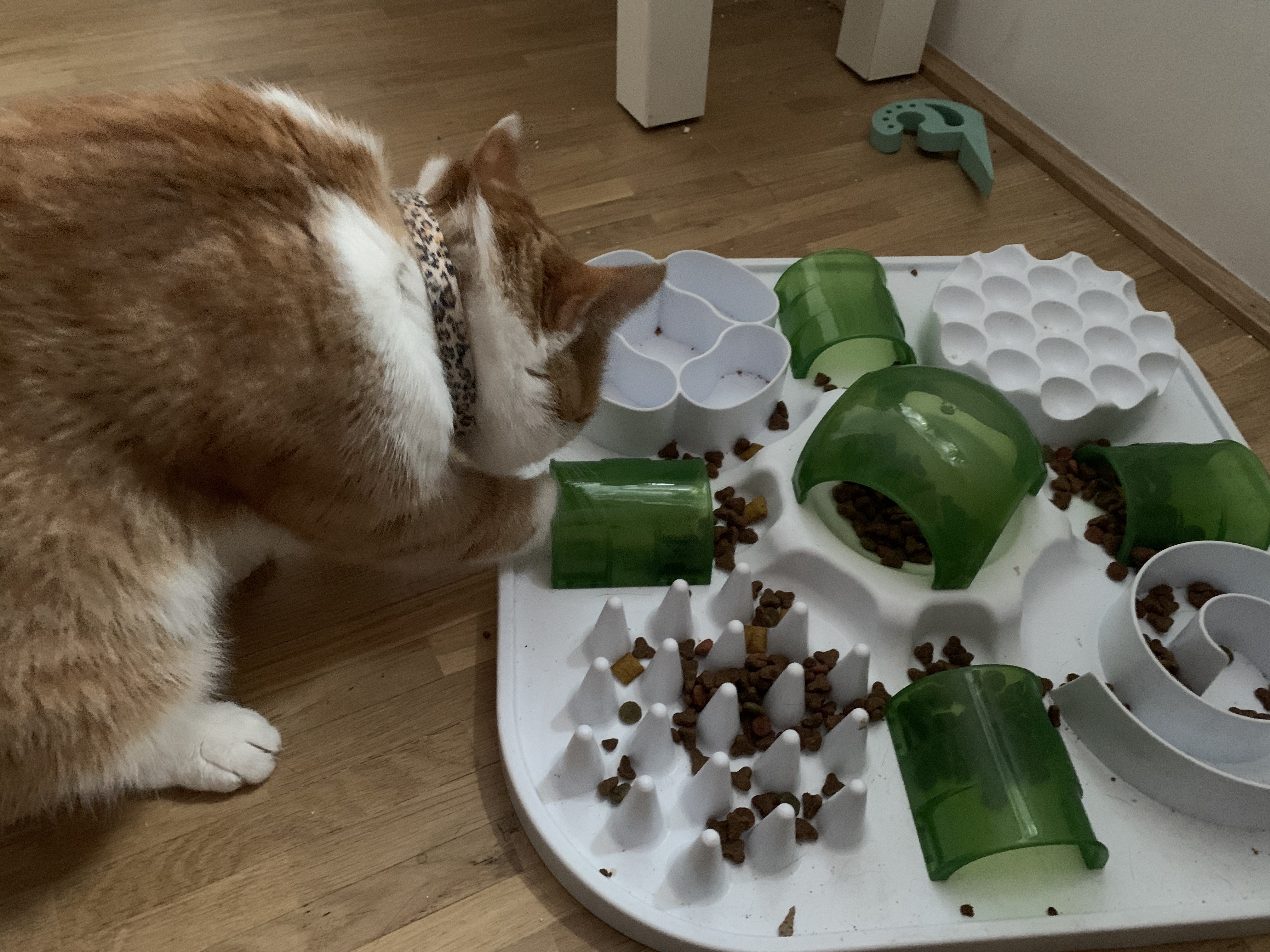 Bester Kauf seit langem