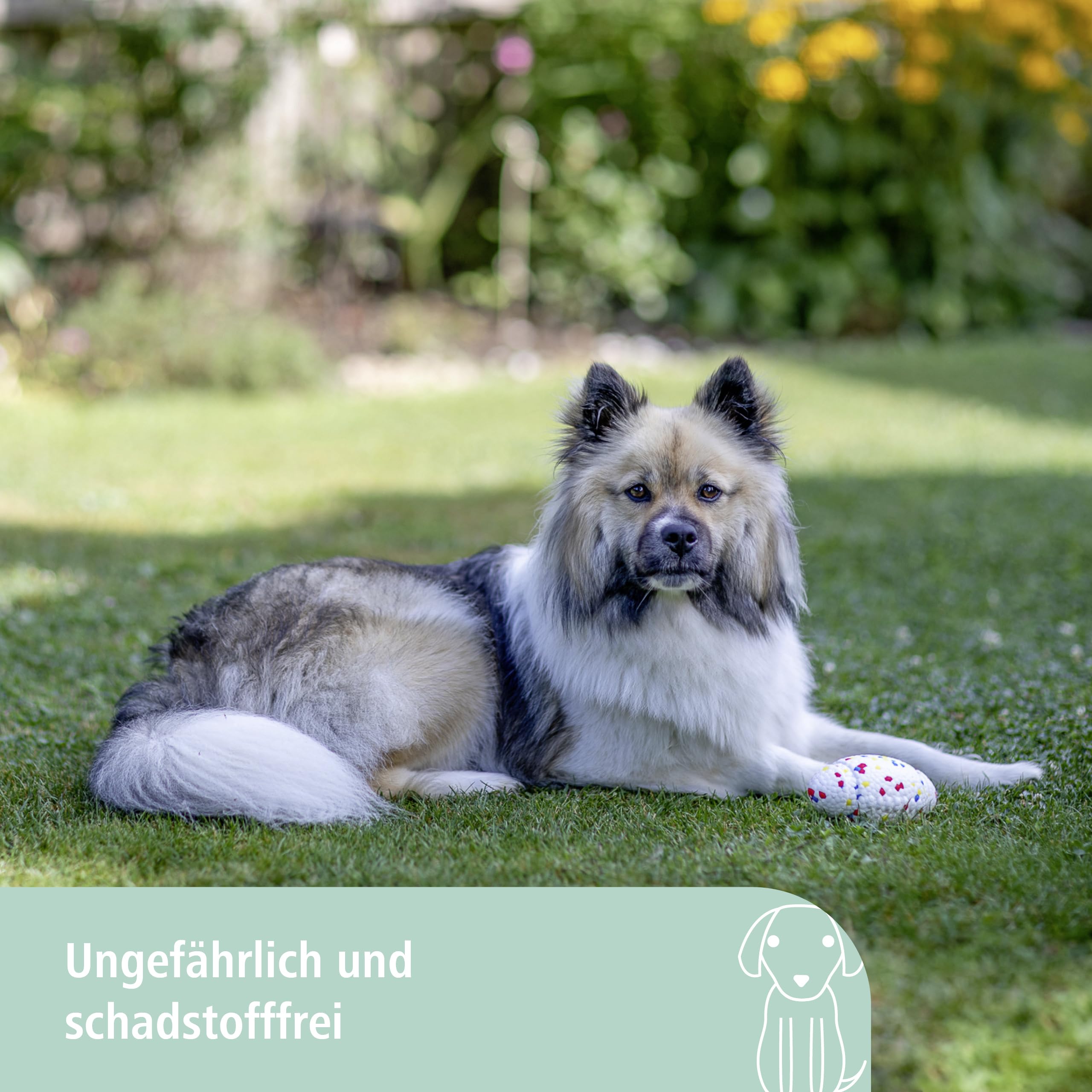kerbl-pet-e-tpu-football-f-r-hunde-mehrfarbig-13-5-x-7-5-x-8-5-cm-schwimmf-hig image 2