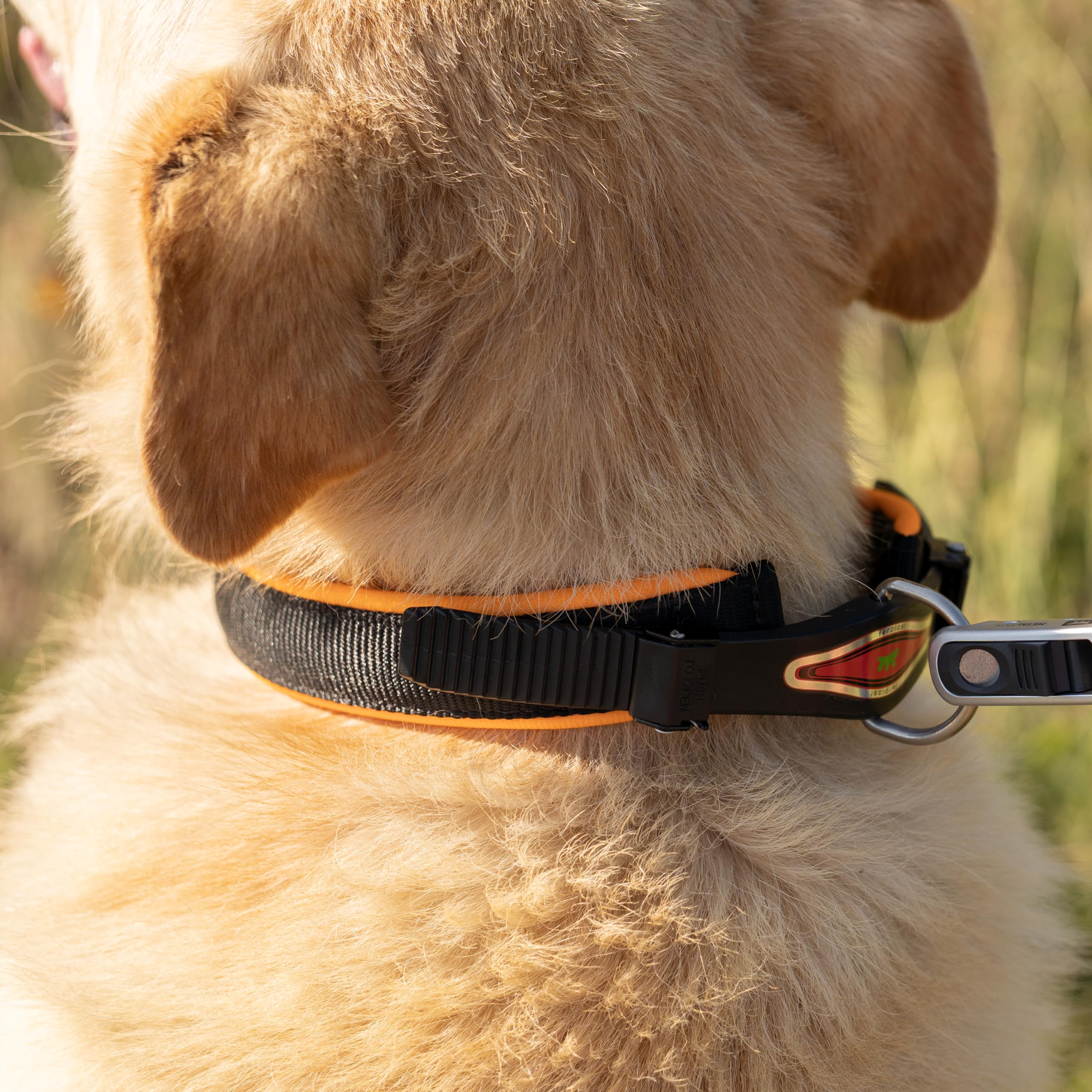 ferplast-ergofluo-c25-51-hundehalsband-orange-gepolstert image 3