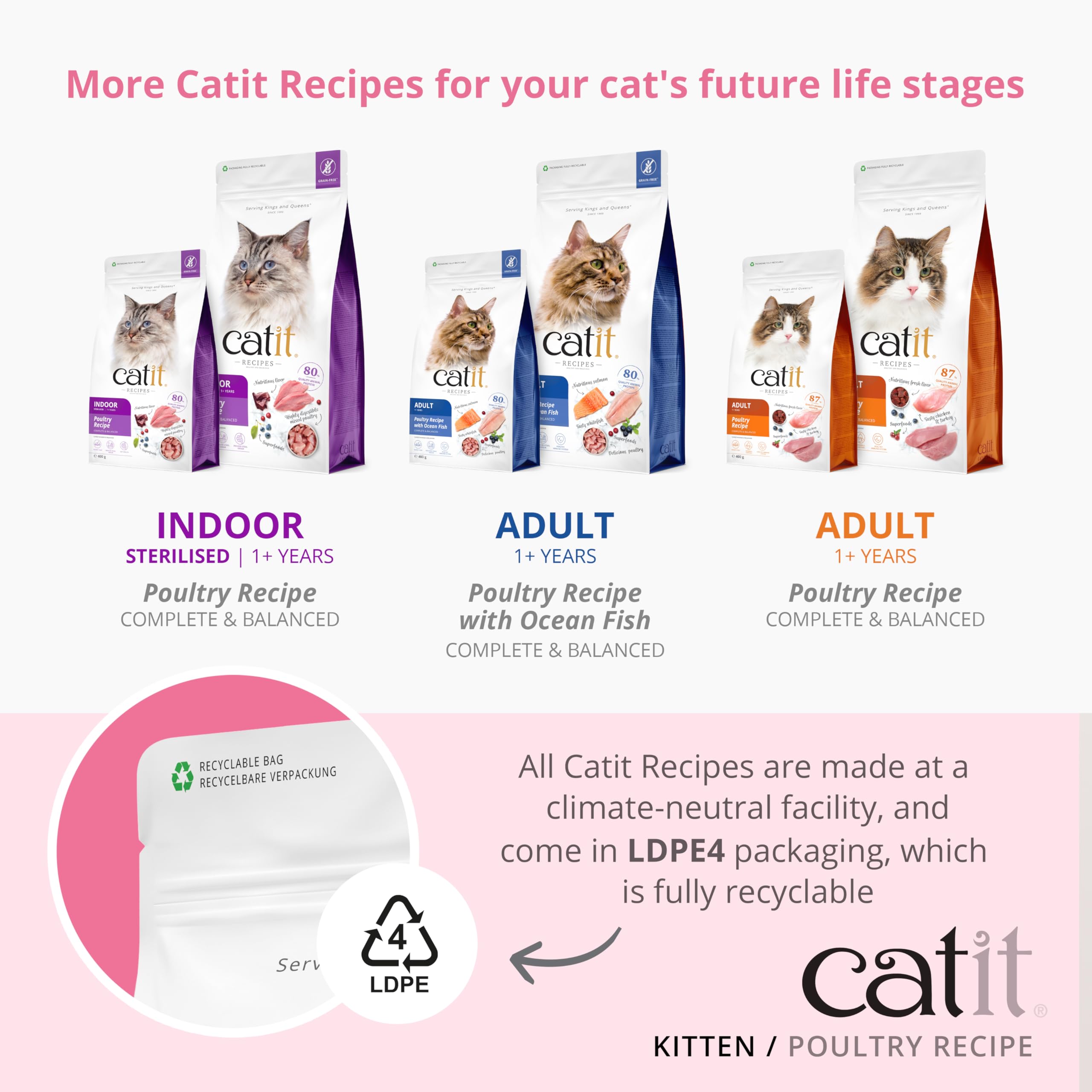 catit-recipes-kitten-trockenfutter-gefl-gel-400-g-getreidefrei image 7