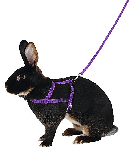 kerbl-pet-agility-schultergeschirr-mit-leine-2-m-gr-m-lila image 3