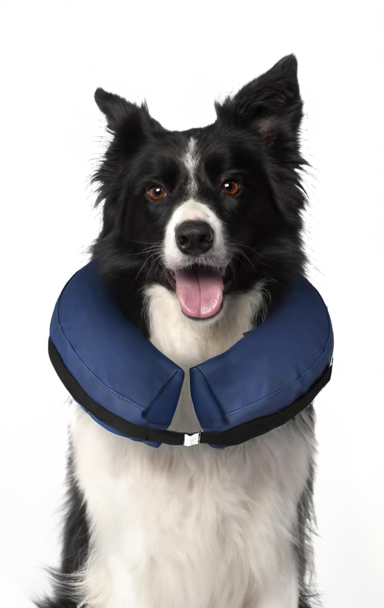 karlie-aufblasbarer-hundekragen-xs-f-r-katzen-und-kleine-hunde image 8