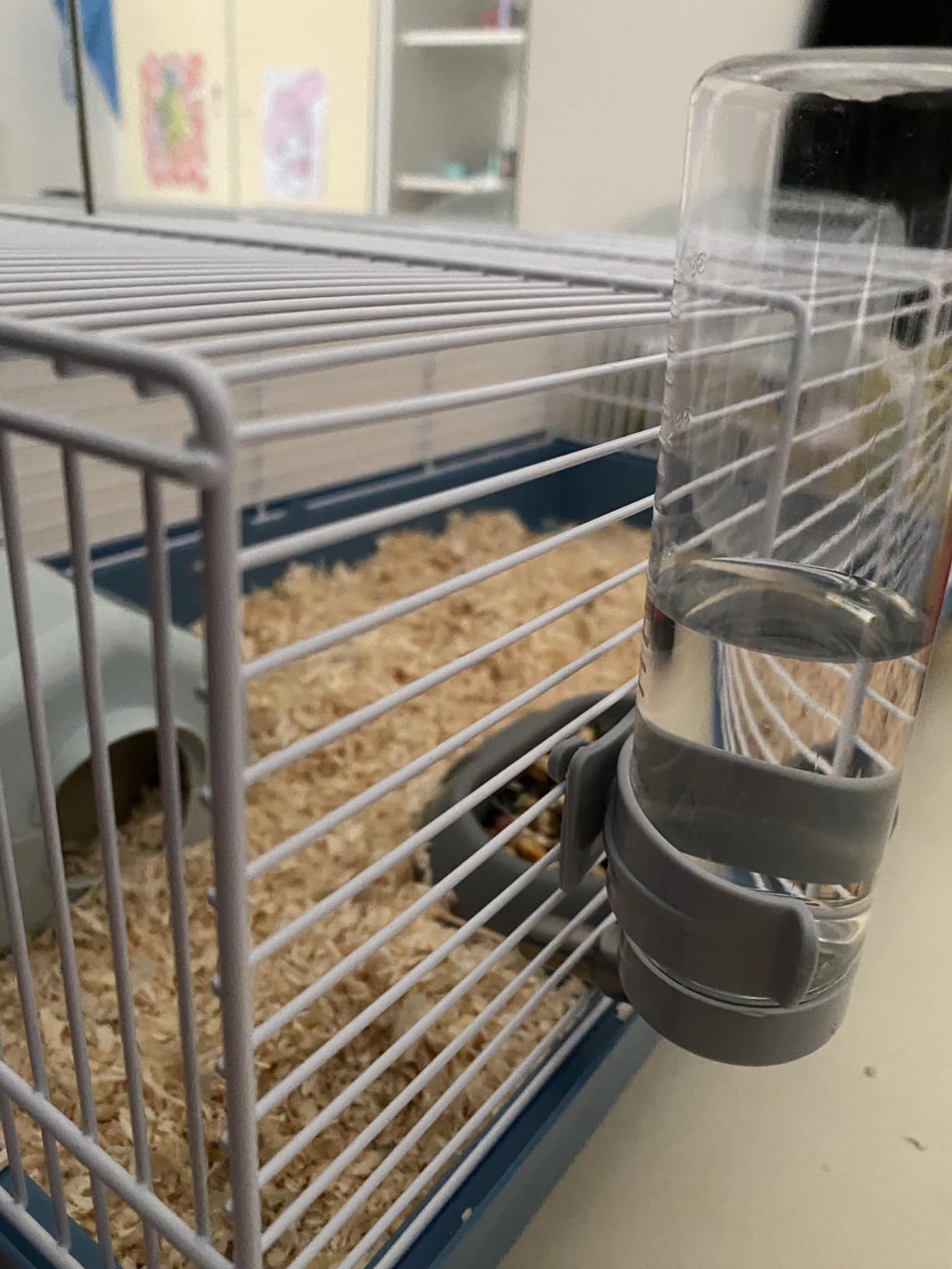 Mein Hamster liebt es